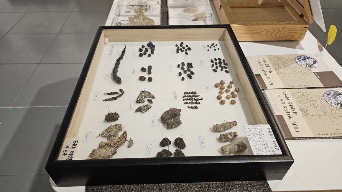 첨부이미지 kakaotalk_20251105_123423943_02.jpg