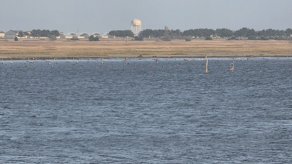 첨부이미지 kakaotalk_20251109_195129173_03.jpg