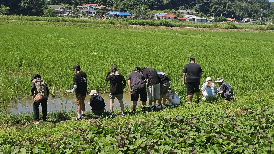 첨부이미지 1752378321620.jpg